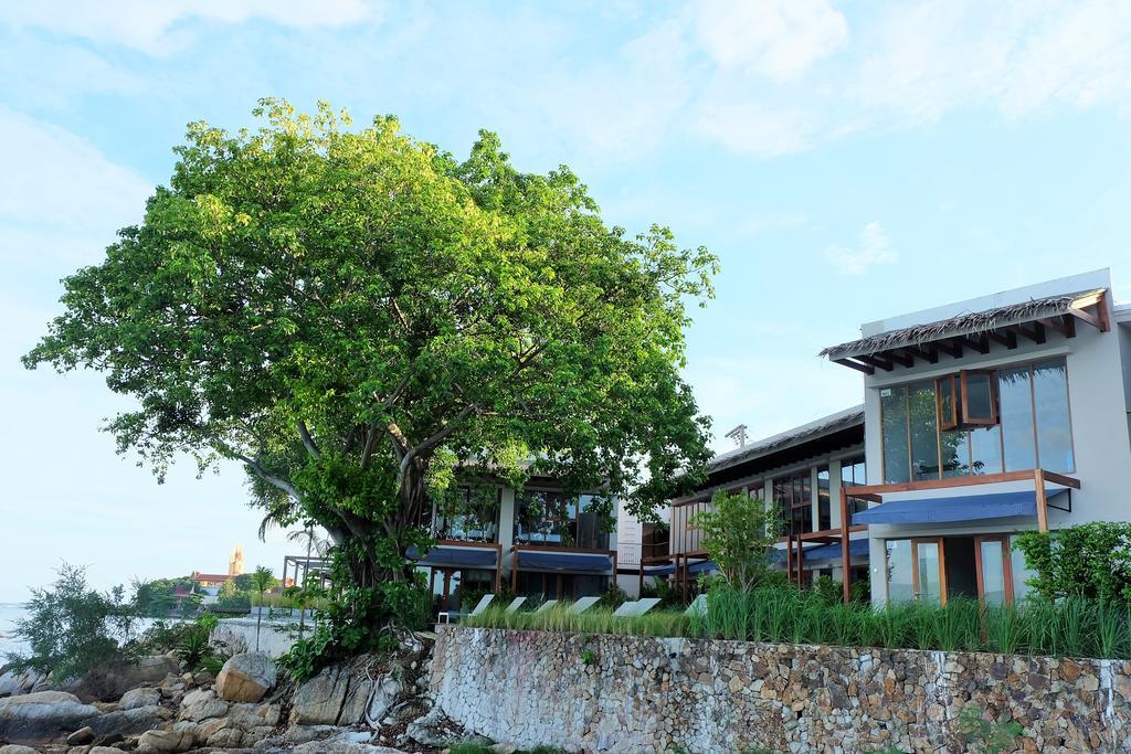 Tamarina Bed And Beyond Hotel